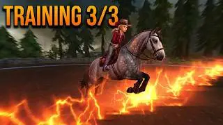 Druid Paddock training 3/3 (Star Stable online)