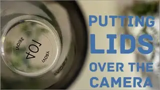 ASMR: Lofi camera tapping using lids over the camera (No talking after intro)