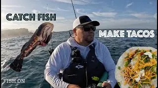Catch Fish, Make Tacos. #fishing #kayak #saltlife ##fishtipsfishtok  #oceanfishing #rockfish #fyp