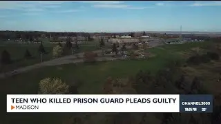Teen who killed prison guard pleads guilty