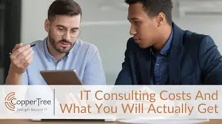 IT Consulting Costs And What You Will Actually Get