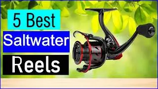 Best Saltwater Reels in 2026 | Top 5 Best Saltwater Reels - Reviewed