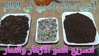 طريقة تحضير أقوى سماد ثلاثي القوة الهجومية بالعناصر الغذائية 