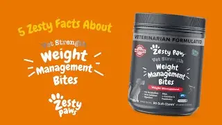 5 SURPRISING Facts About This Weight Management Chew | Zesty Paws&reg;