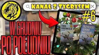 Kanał z tygrysem #6 – W grudniu po południu