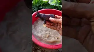 what's is in the mud? who is your favorite hero?