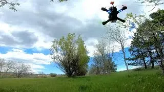 Tree Hallway || FPV FREESTYLE || mikeCOfpv