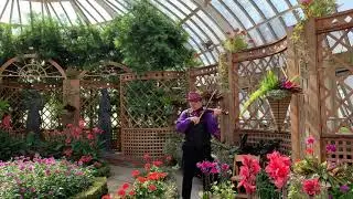 &ldquo;Canon In D&rdquo; with orchestra backing track Electric Violinist Steven Vance