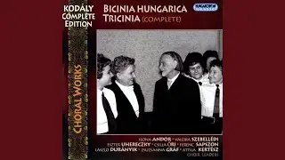 Bicinia Hungarica IV.: Fut a ny&uacute;l (... ny&uacute;l &eacute;s kutya) / The Hare Is Running (... Hare and...