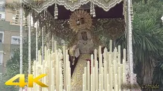 Nuestra Señora del Amor de Pino Montano - Viernes de Dolores 2025 Sevilla
