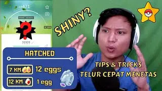 #KALIANHARUSTAU Tips & Tricks Menetaskan Telur Dengan CEPAT di PGSHARP FREE & Standard Edition
