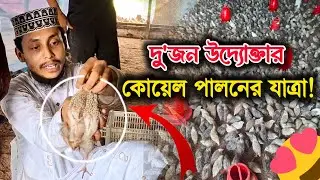 দু'জন উদ্যোক্তার কোয়েল পালনের যাত্রা! নোয়াখালী কোয়েল খামার | Quail Farming | Farming | Noa Agro