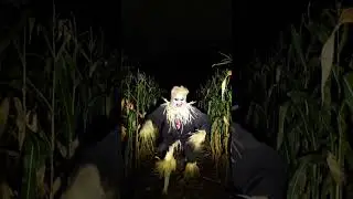 POV: I thought it was a scarecrow | POV Dimensions #Shorts #POV #TheScarecrow