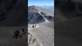 Амсар