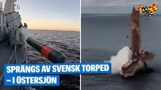 H&auml;r spr&auml;ngs pr&aring;men &ndash; mitt p&aring; &Ouml;stersj&ouml;n