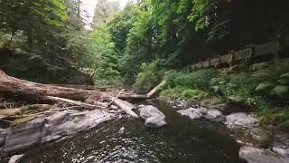 Cedar Creek Grist Mill