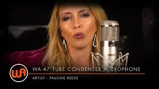 Warm Audio // Pauline Reese 
