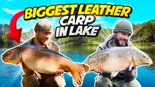 UK CARP FISHING 48hours MEGA session on 2 lakes! Ben Parker