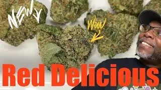 Goodbud Cannabis Reviews Episode 29: Red Delicious From &Shine!