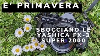 Yashica FX3 Super 2000