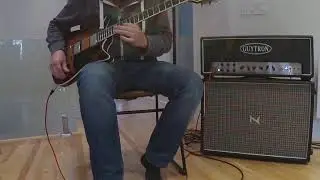 Guytron GT100 F/V on stock mode cleaner settings with Frank Bros Signature