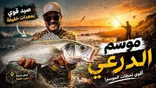 أخطر طُعم لصيد الدرعي في موسم 2026 🐟🔥