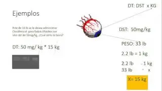 Posologia: Tipos de dosis
