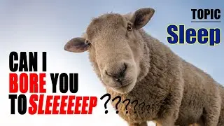 BORE you to sleep talking about SLEEP (Human voice, not AI)