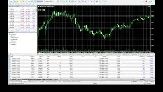 Forex online trading