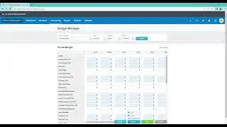 Xero Budget