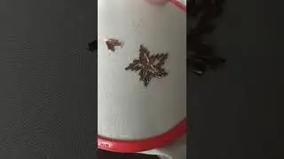 Boru Boncuk İle Balıksırtı &Ccedil;alışması