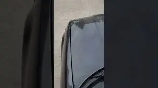 E36 318 M40 Cone intake with box sound