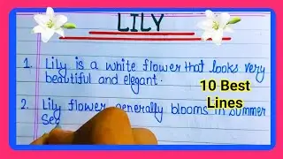 10 Lines Essay On Lily Flower| Information About Lily Flower in English|Lily Flower Essay {10 Lines}