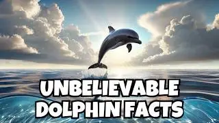 20 Fascinating Facts About Dolphins You Didn&rsquo;t Know!
