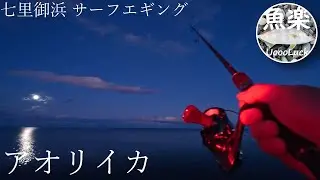 初心者が初心者に薦める 七里御浜 サーフエギング！【アオリイカ】【コウイカ】【三重県】【王子ヶ浜】【和歌山県】【ショアジギング】