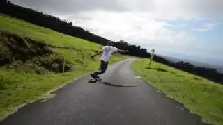 chad gibson // below tree line