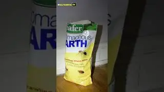 Out of State Rental Property Disaster in Akron Ohio | HoltonWiseTV Highlights