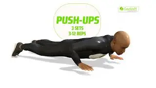 Push-Up Tutorial in 3D: Perfect Your Form & Boost Results | CHS Wellness