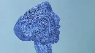 Digital Anatomy training tool developed by University