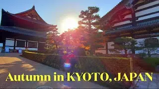 Autumn in Japan Series Part 5 (Kyoto, Japan)