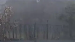 High winds and storms in Fayette Co.