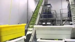 F&S Produce получает грант на обучение в 2012 году &mdash; FreshCutTV