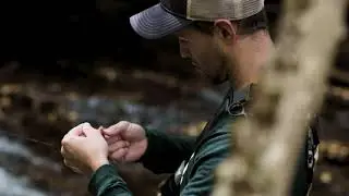 Fly fishing for trout in West Virginia using TroutRoutes