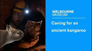 Going deep underground for a 50,000 year old fossil kangaroo