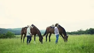 Mastering the Art of Alpha Horse Training! #HorseTraining#Equestrian #AlphaHorseTraining#HorseRiding