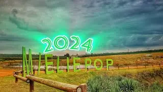 A recap of my experience of mieliepop music festival. #mieliepopmusicfestival #havefun #enjoylife