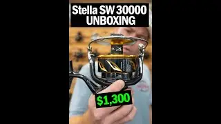 Shimano Stella SW 30000 Unboxing