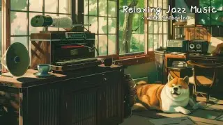 Jazz Relaxing Music &Cozy Japanese-style room With Shiba Inu🎵🐕💤