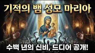 82. 성모님의 뱀 기적: 그리스 케팔로니아 섬의 신비 | 자연 미스터리