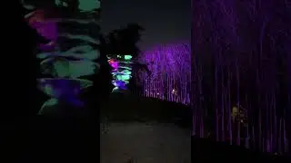 Night Form 1 Part A